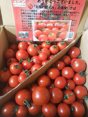 みんなの投稿の画像