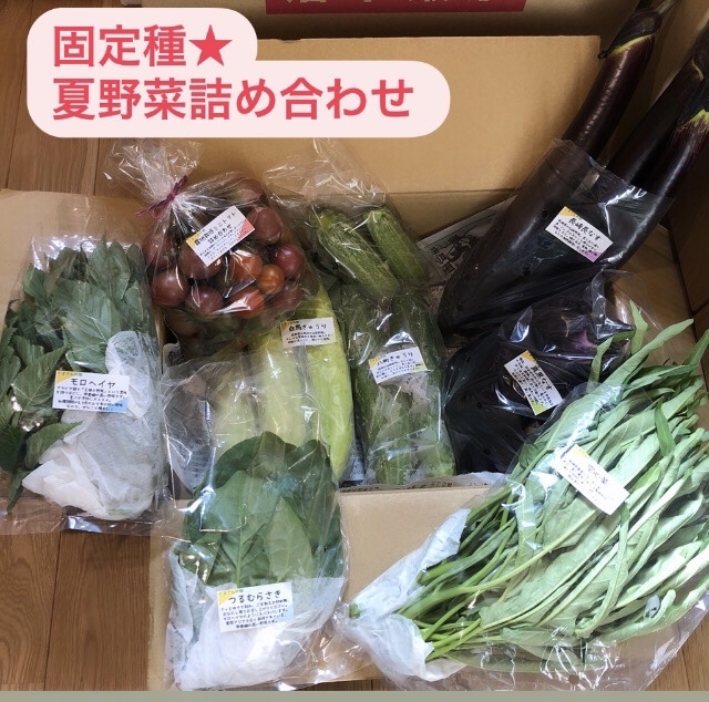 旬の固定種 おまかせ夏野菜セット 長野県産 当日収穫 農家漁師から産地直送の通販 ポケットマルシェ