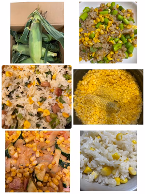 みんなの投稿の画像