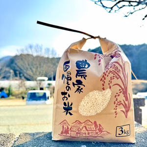 ⭐︎限定出品⭐︎令和7年産もち米（精米）