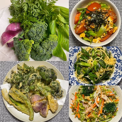 みんなの投稿の画像