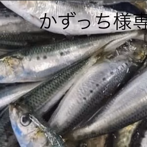 かずっち様専用