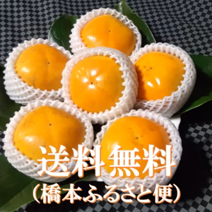 秋の香り たねなし柿(刀根早生)★ご家庭用(12個入り）