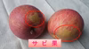 特別栽培サンふじ（ご家庭用）