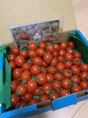 みんなの投稿の画像