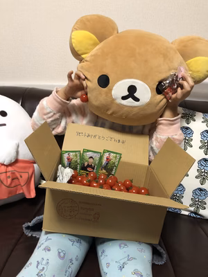 みんなの投稿の画像