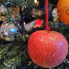 クリスマスツリーに飾って食べる♪ちびっこふじリンゴ