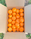 しもつうまれ　蔵出しみかん　家庭用　5kg箱