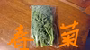 春の野菜セット