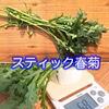【ハウス高設栽培】サラダ野菜6種セット【無農薬】