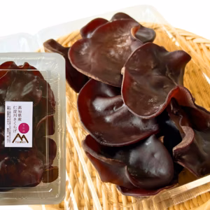 仁淀川きくらげ販売開始！(生)きくらげ1kg(500g×2パック)〜