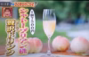 【2022年7月予約桃】産直注文3,000件突破☆リピーター続出人気№1完熟桃