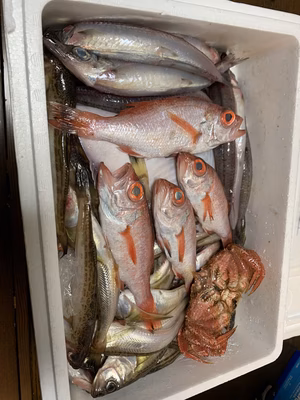 みんなの投稿の画像