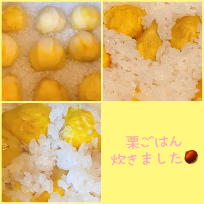 みんなの投稿の画像