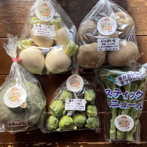 濃甘！野菜セット農薬・化学肥料不使用♪個包装