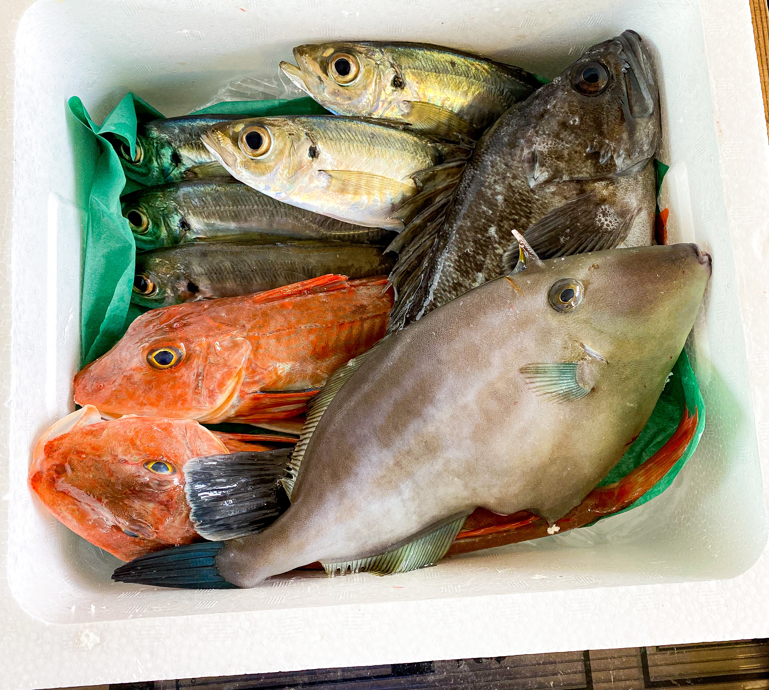 元魚屋が厳選 お魚たくさん めっちゃ幸せボックス 1kg 活け締め 農家漁師から産地直送の通販 ポケットマルシェ