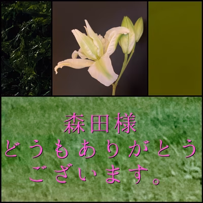 みんなの投稿の画像