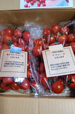 みんなの投稿の画像