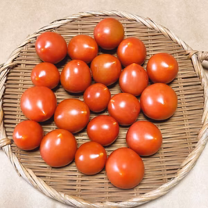 希少な自然栽培の中玉トマト【ピンク中玉】（1kg）