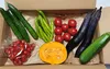 【月2回】大変希少な【自然栽培×固定種】の野菜セット「プレミアム野菜ボックス」