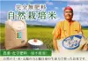 自然栽培 氷温熟成 でわのもち 令和４年産 山形県産 庄内米 玄米２５k