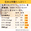 熟成3日 発芽玄米パックご飯