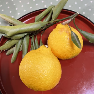 【有機JAS認定】皮の色からは想像できない美味しさ！はるかです！