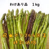夏どりアスパラ　お得な訳あり品