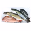 【こもこもShop品質ご堪能セット】『養殖鮮魚セット』神経〆付