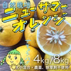 これがナチュラル。自然栽培ニューサマーオレンジ【農薬不使用】