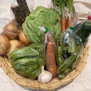 季節の無農薬野菜セット(福岡より)