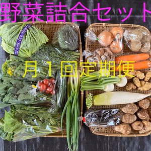 定期便[月1回配達]・お任せ新鮮野菜セット(15種類以上)