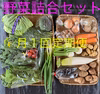 定期便[月1回配達]・お任せ新鮮野菜セット(15種類以上)