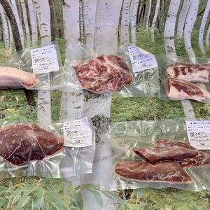 BBQに最適！イノシシブロック肉5種5パック合計1063g