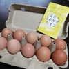 \ビールのおともに♫/【平飼い鶏のスモークチキン】＋卵10個入