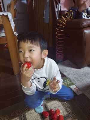 みんなの投稿の画像