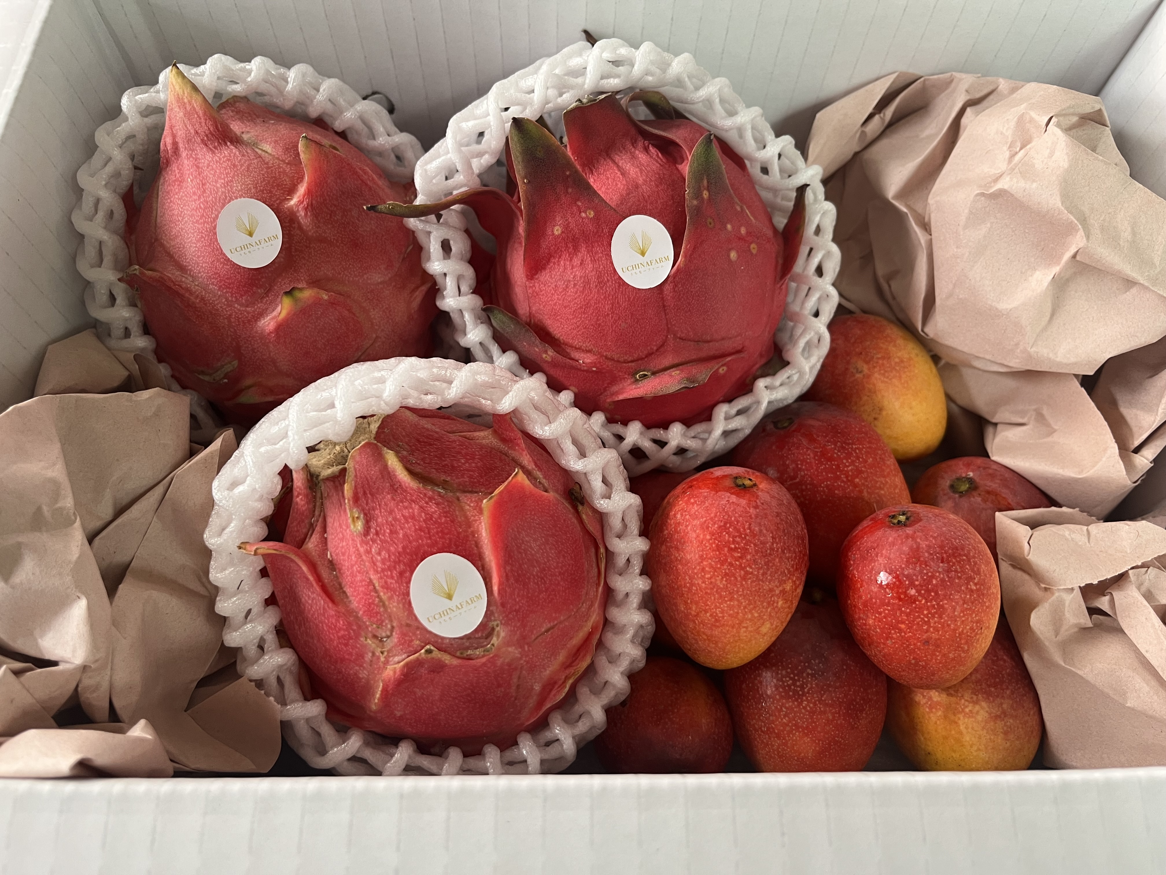 ミニマンゴーの産直通販・お取り寄せ商品｜ポケットマルシェ｜産地直送