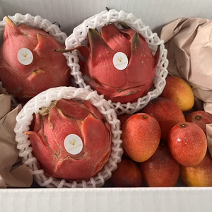 沖縄県産 ・ドラゴンフルーツ1Kg(赤玉)・ミニマンゴー500g ※クール便発送