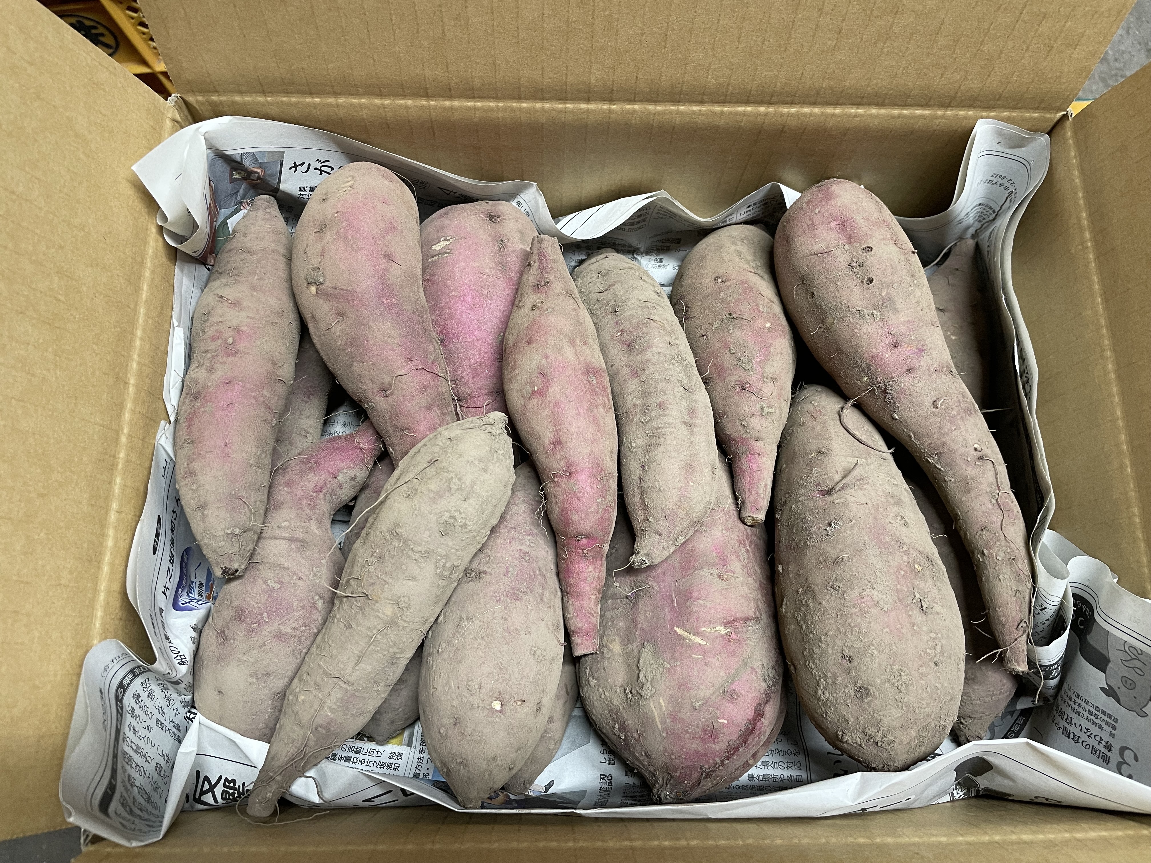 雙成株式会社 パープルスイート 20kg パープルスイートロードの産直通販・お取り寄せ商品｜ポケット