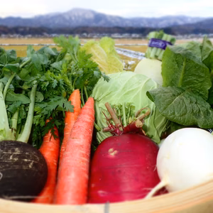 【個性派揃い♪】丹後自慢の冬野菜セット【新鮮京野菜】