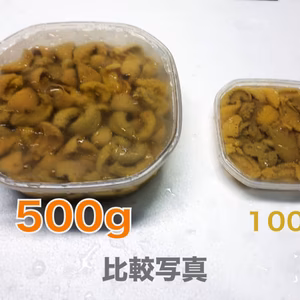 【これがワケあり！？】生ウニ500gパック×1個【生食用】<クール便発送> 