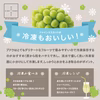 皮ごとパクリ！とっても甘くて美味しいプレミアム‼ 山梨県産シャインマスカット 