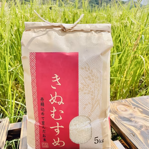 きぬむすめ　岡山県矢掛町産　一等米　無洗米　10kg