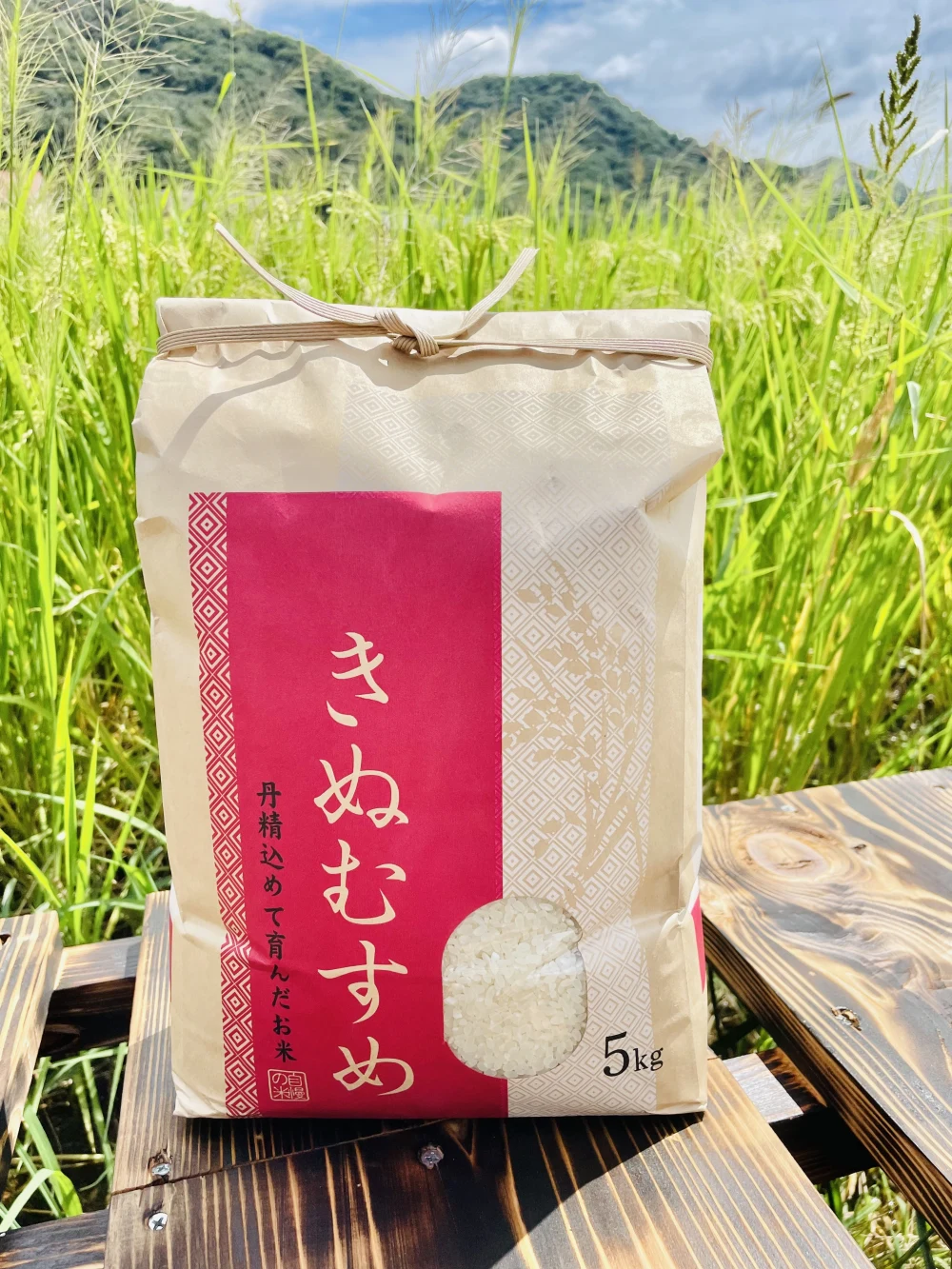 【新米】無洗米　きぬむすめ　一等米　精米済　5kg