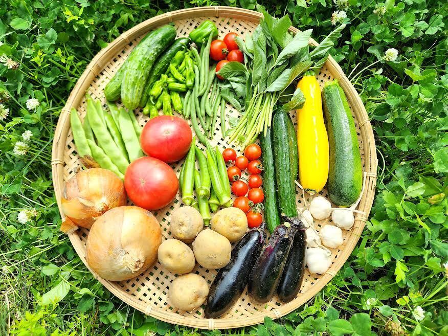 おとうふ様 リクエスト ウィンターガルテン 2点 まとめ商品 