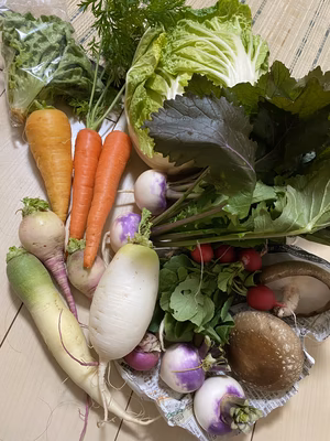 みんなの投稿の画像