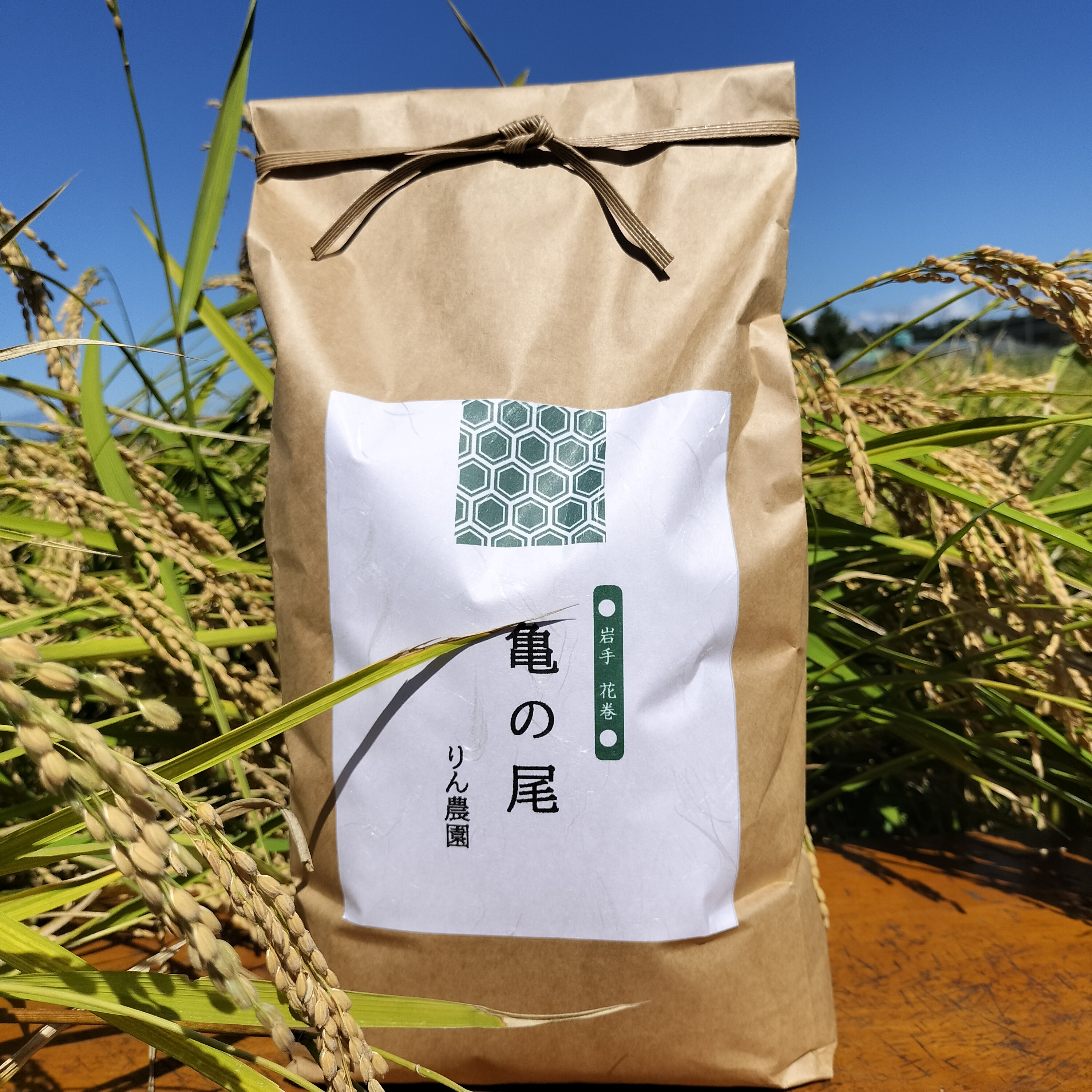 令和5年産 自然栽培 亀の尾 2キロ 玄米