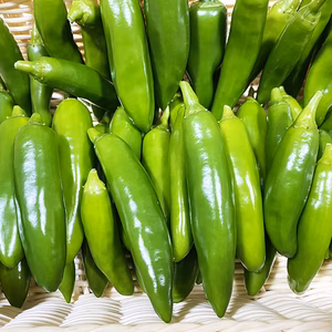 ちょうどいい辛さの国産ハラペーニョ