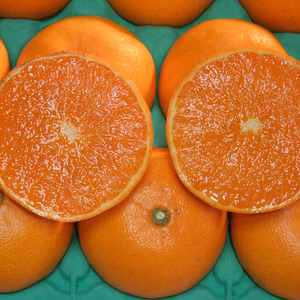 果汁・糖度タップリ！せとか（特秀・贈答用３kg）