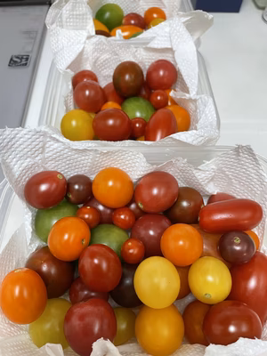 みんなの投稿の画像